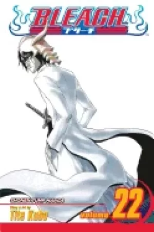 Image of bleach vol 22