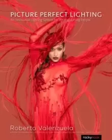 Image of Picture Perfect Lighting : An Innovative Lighting System for Photographing People