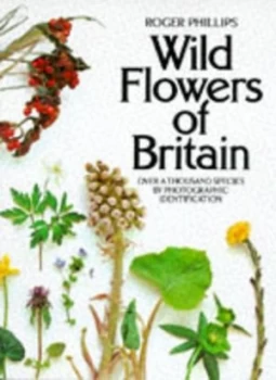 Image of Wild Flowers of Britain Paperback