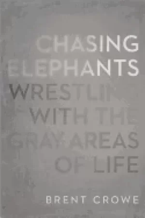 Image of chasing elephants wrestling with the gray areas of life