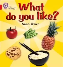 Image of What Do You Like? Band 02b/Red B
