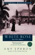 Image of white rose una rosa blanca