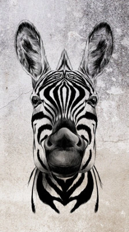Image of Erismann Cool Zebra Digital Wallpaper Black & White