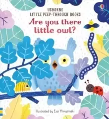 Image of Are You There Little Owl?