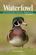 Image of waterfowl of eastern north america