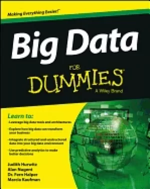 Image of big data for dummies