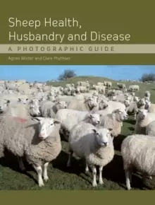 Image of Sheep Health, Husbandry and Disease : A Photographic Guide