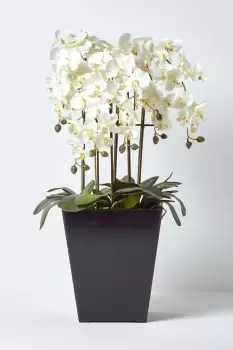 Image of Large Artificial Cream Orchid in Black Pot with Green Leaves