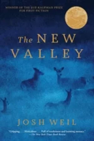 Image of new valley