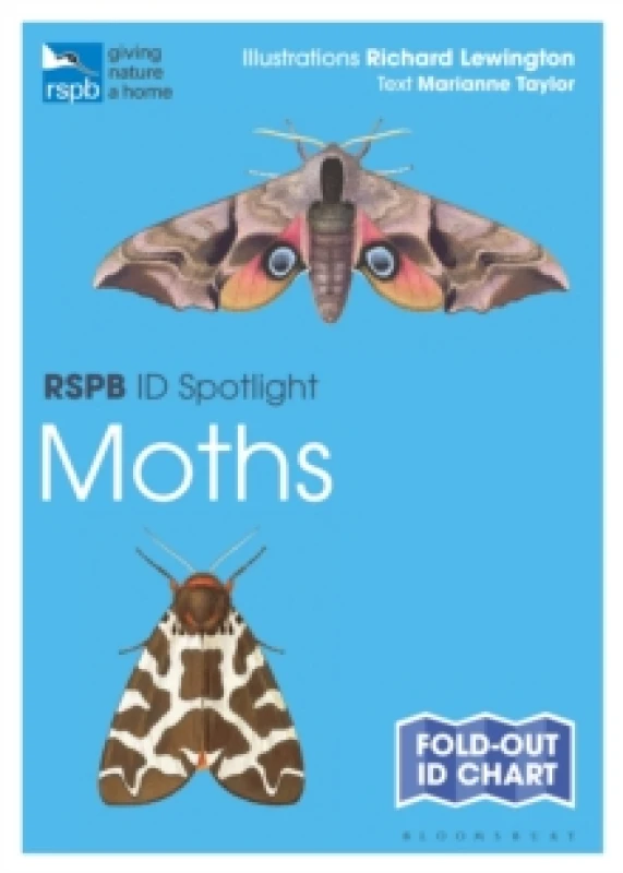 Image of RSPB ID Spotlight - Moths Fold-out book or chart