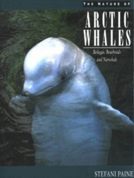 Image of The Nature of Arctic Whales by Stefani Paine Hardback