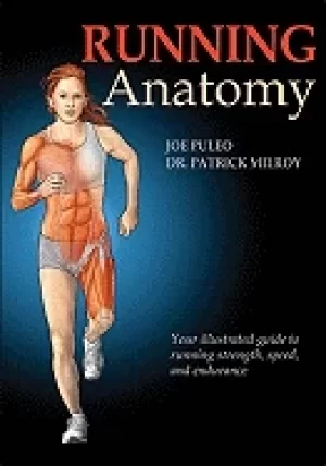 Image of running anatomy