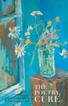 Image of The poetry cure by Julia Darling