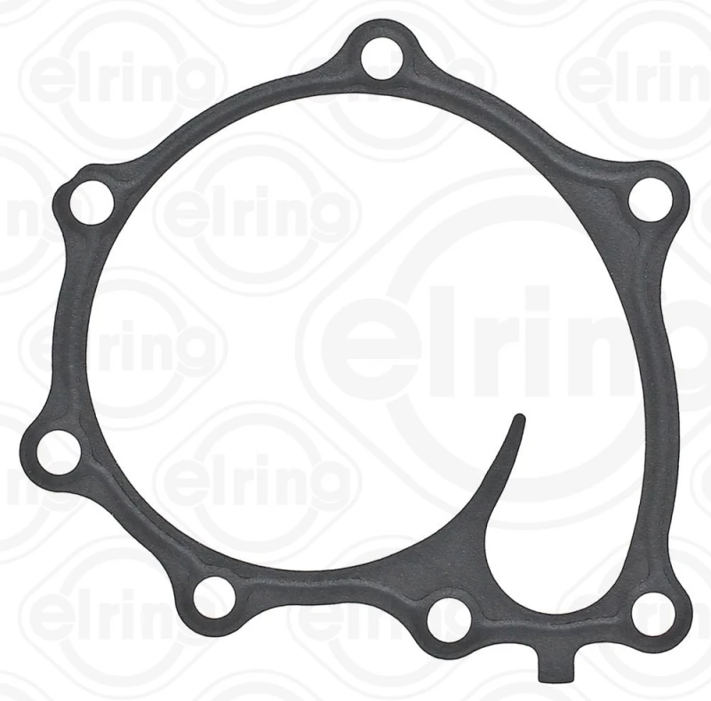 Image of Gasket, water pump ELRING 925.200