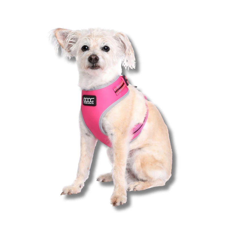 Image of DOOG Neon Harness - Lady- Large - Pink Pink L