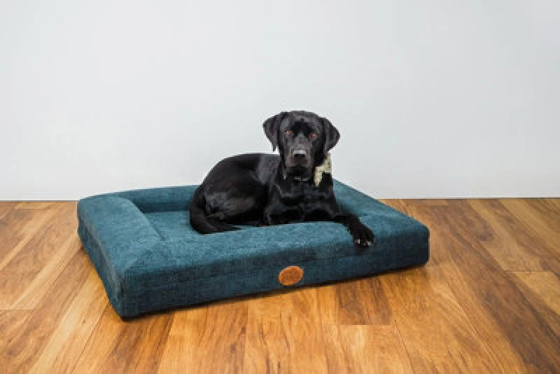 Image of Snug & Cosy Pets Snug And Cosy Orthopaedic Lounger Blue