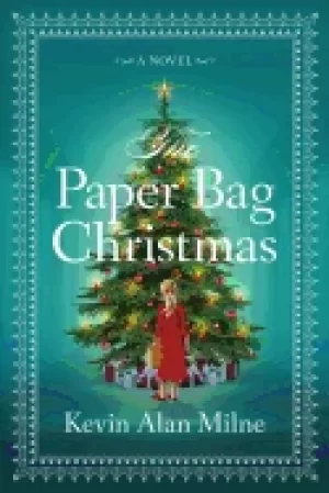 Image of paper bag christmas