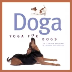 Image of doga yoga for dogs