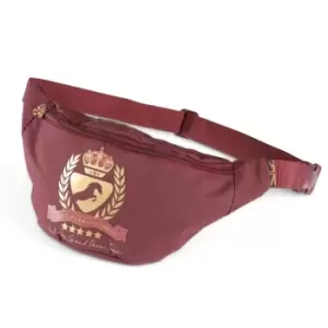 Image of Aubrion Team Bum Bag (One Size) (Burgundy)