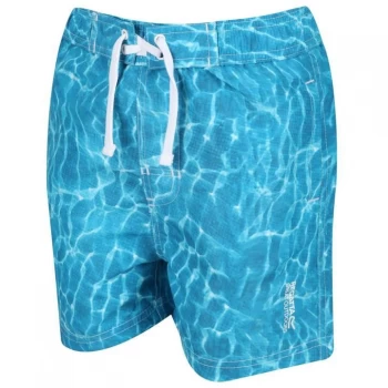 image of Regatta Skander II Swimming Shorts - WtrPhotograp