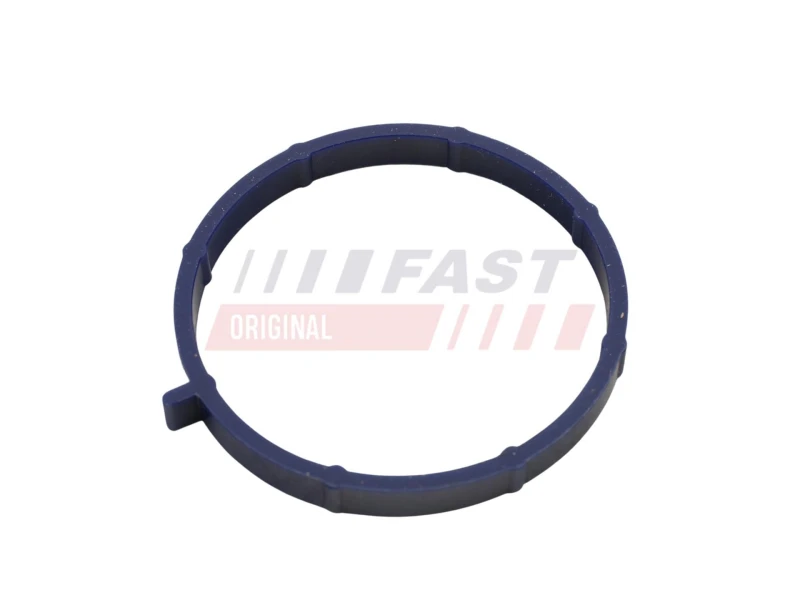 Image of FAST Inlet manifold gasket FAST FT49467