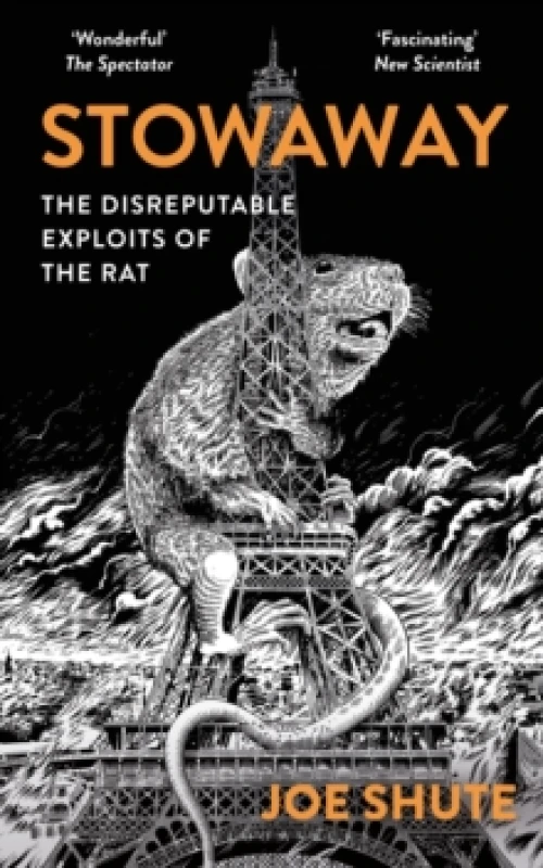 Image of Stowaway : The Disreputable Exploits of the Rat A NEW SCIENTIST NON-FICTION BOOK OF THE YEAR Paperback / softback