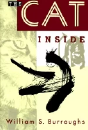 Image of cat inside