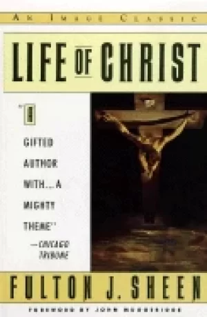 Image of life of christ