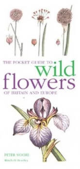 Image of The Pocket Guide to Wild Flowers of Britain and Europe by Peter Moore Book