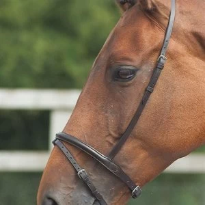 image of Blenheim Flash Noseband - Havana