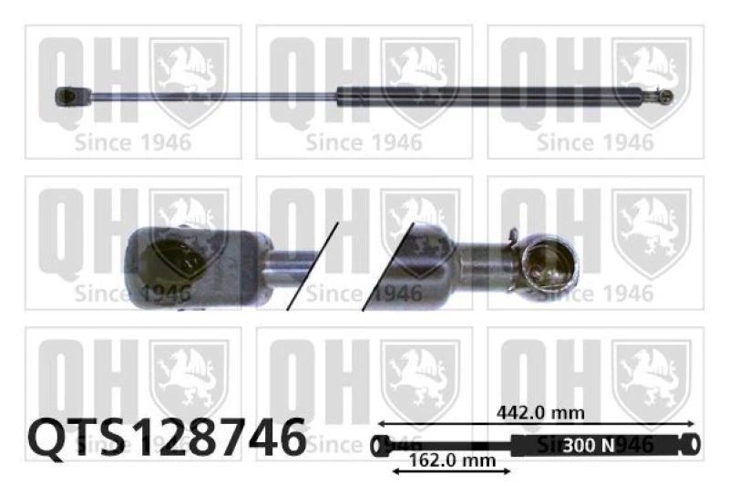 Image of QUINTON HAZELL Bonnet strut QUINTON HAZELL QTS128746