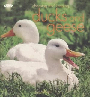 Image of Choosing and Keeping Ducks and Geese by Liz Wright Paperback