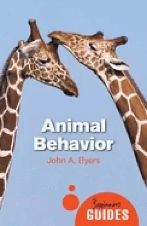 Image of animal behaviour