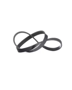 Image of Bosch V-ribbed belt BMW 1 987 946 111 11287792851,64557792851 Serpentine belt,Auxiliary belt,Poly V-belt,Ribbed belt,Multi V-belt,Poly belt