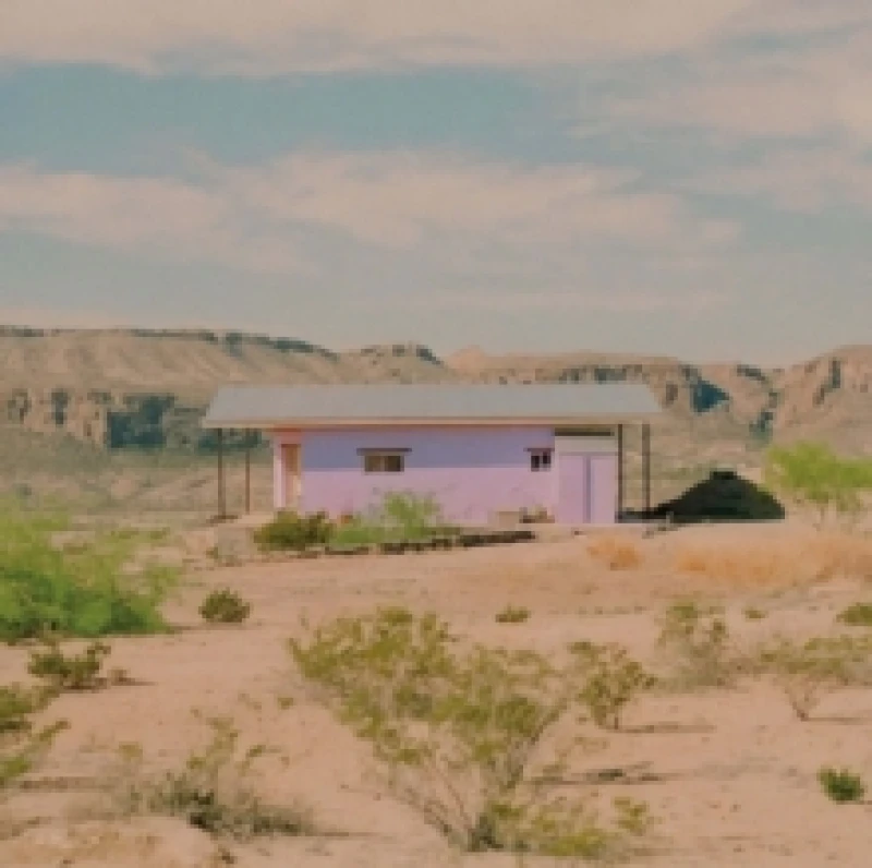 Image of We're Having a Barn Dance Vinyl