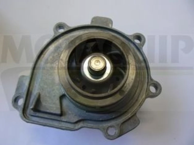 Image of MOTAQUIP Water pump MOTAQUIP VWP876