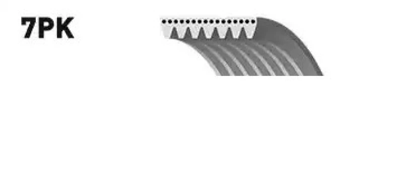 Image of SNR CA7PK1930 V-ribbed belt V-Ribbed Belts (305)