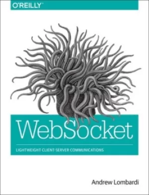 Image of WebSocket by Andrew Lombardi