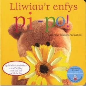 Image of Lliwiaur Enfys Pi-Po Rainbow Colours Peekaboo by Roger Boore Hardback
