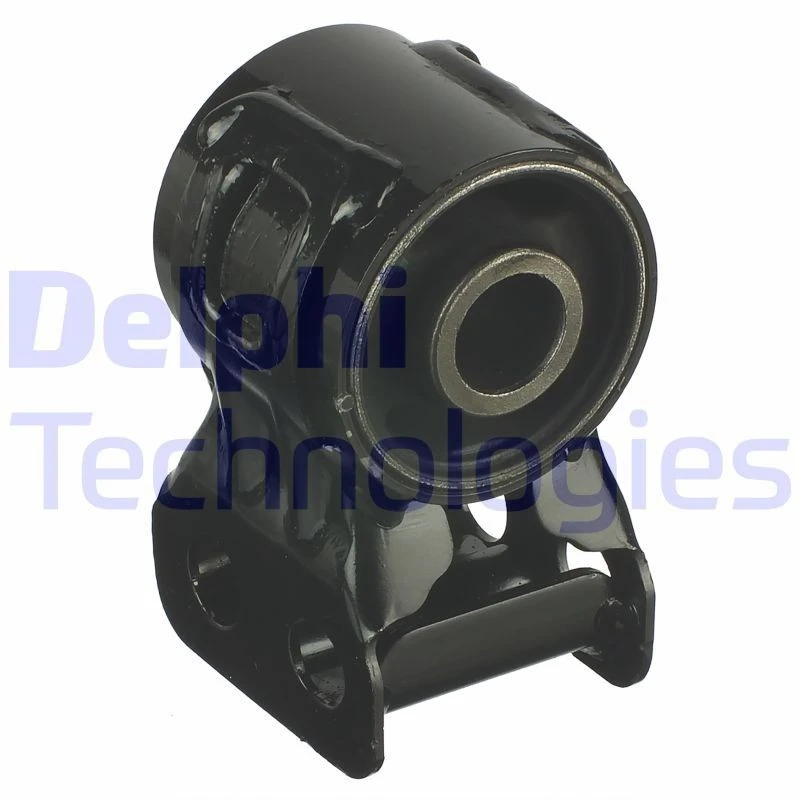Image of DELPHI TD920W Arm Bushes Control Arm-/Trailing Arm Bush (251)
