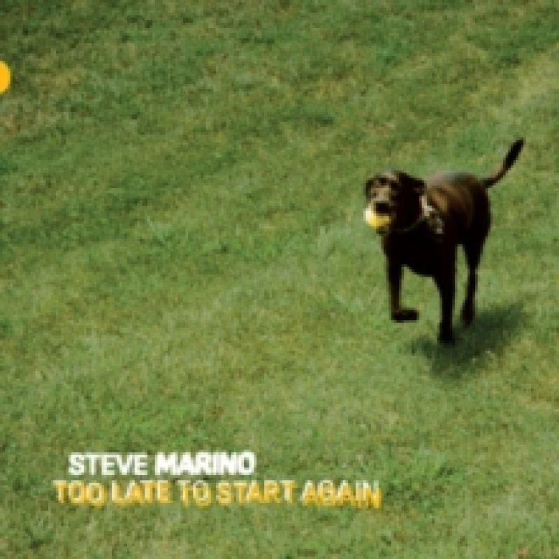 Image of Too late to start again Vinyl