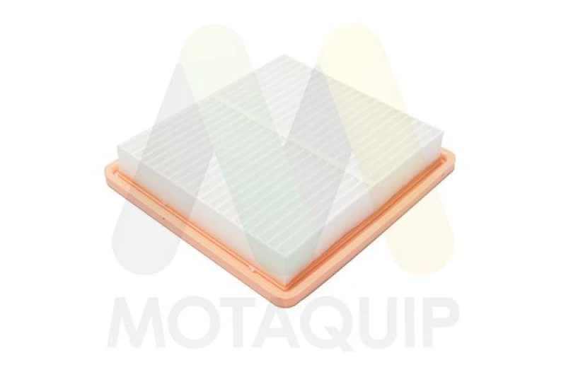 Image of MOTAQUIP Air filter MOTAQUIP LVFA1610