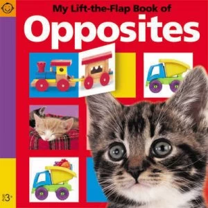 Image of My Lift-the-Flap Book of Opposites Book