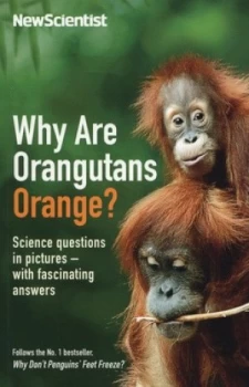 Image of Why Are Orangutans Orange by Mick Ohare Paperback