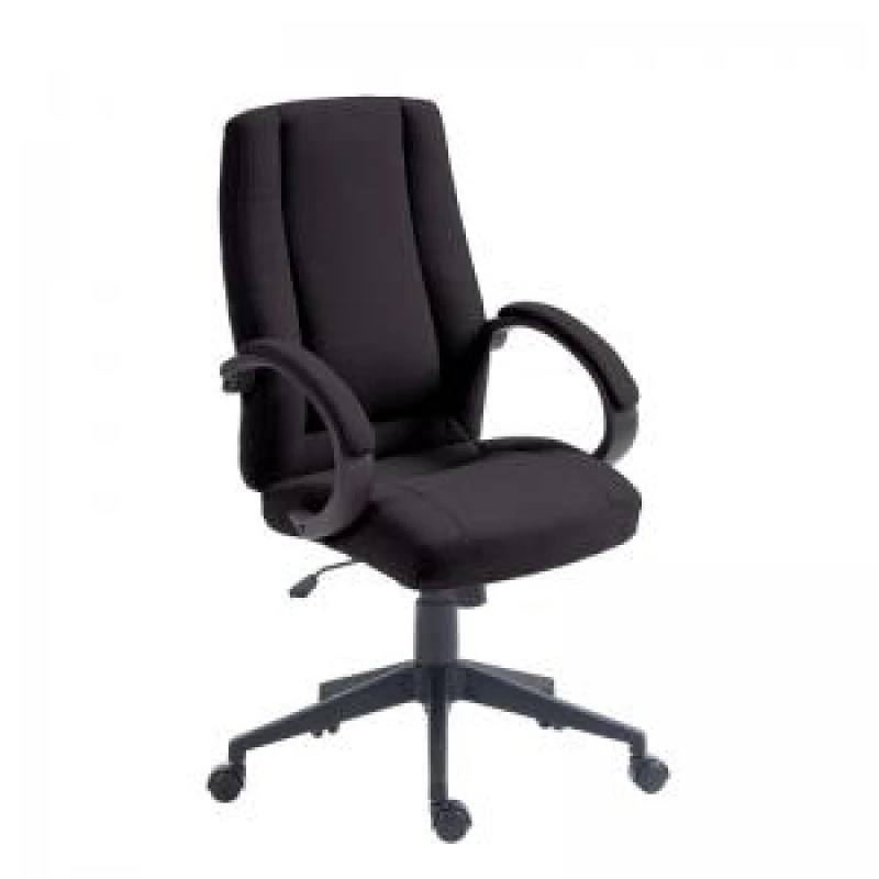 Image of Nautilus Designs Dorset High Back Fabric Executive Office Chair With EXR53465NA