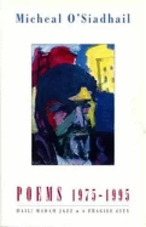 Image of poems 1975 95 hail madam jazz a fragile city