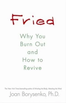 Image of Fried by Joan Borysenko