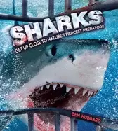Image of sharks get up close to natures fiercest predators