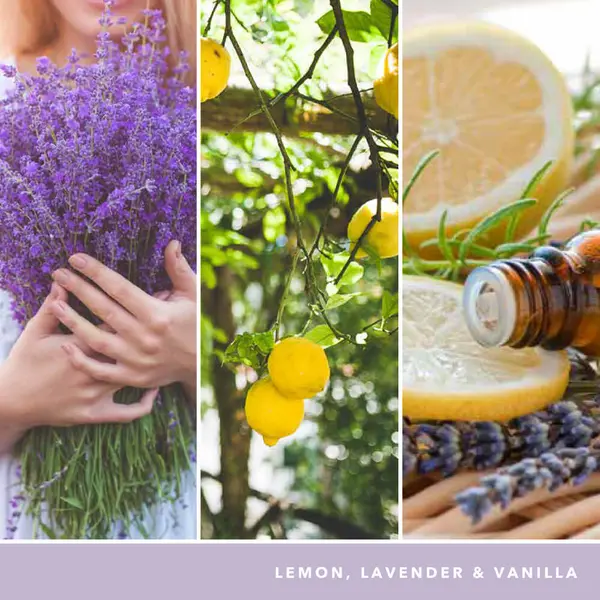 Image of Yankee Candle Lemon Lavender Scented Candle 368g