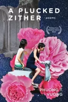 Image of A Plucked Zither